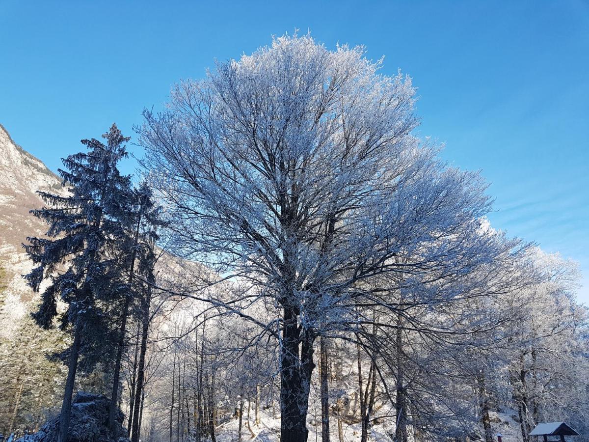 Hiša Erlah Hotel Bohinj Bagian luar foto