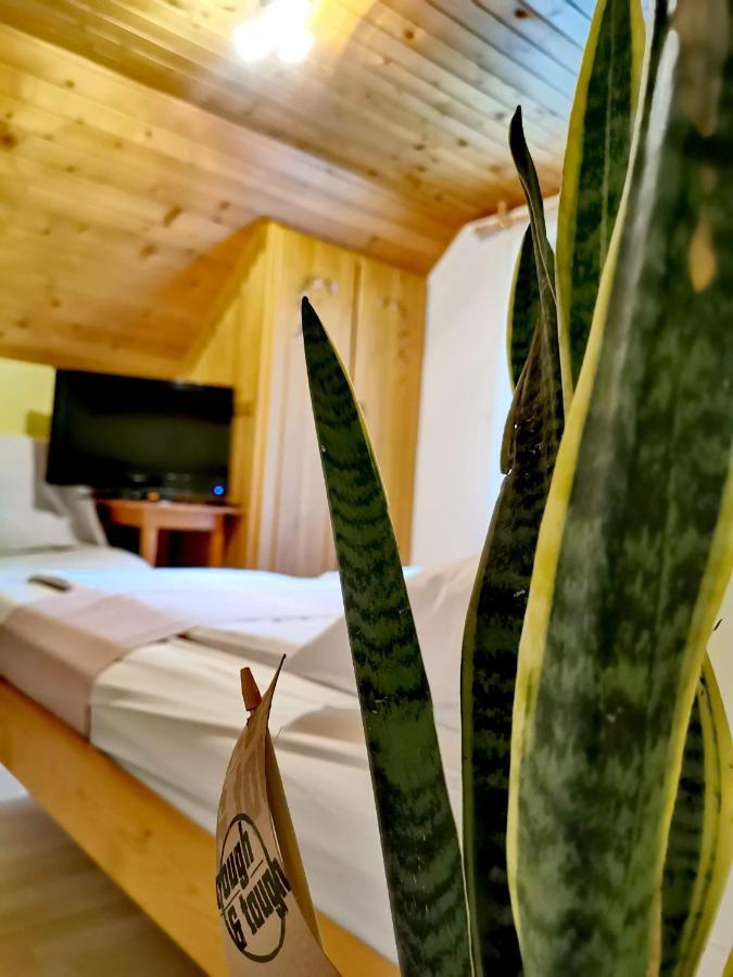 Hiša Erlah Hotel Bohinj Bagian luar foto